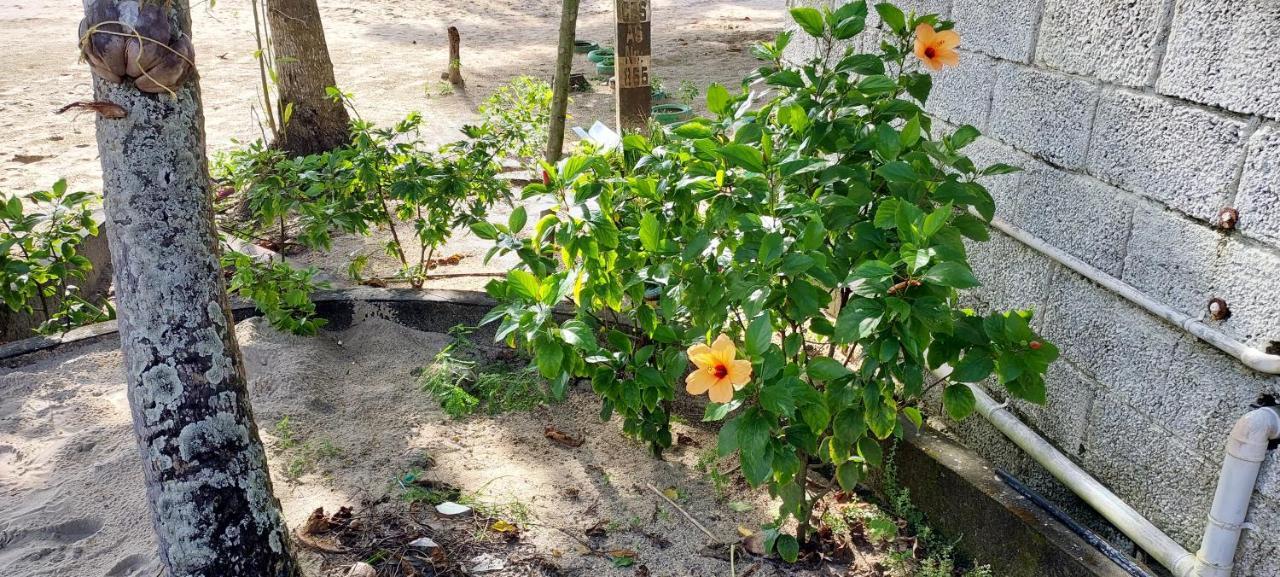 Marari Anna Beach Villa Mararikulam Zewnętrze zdjęcie