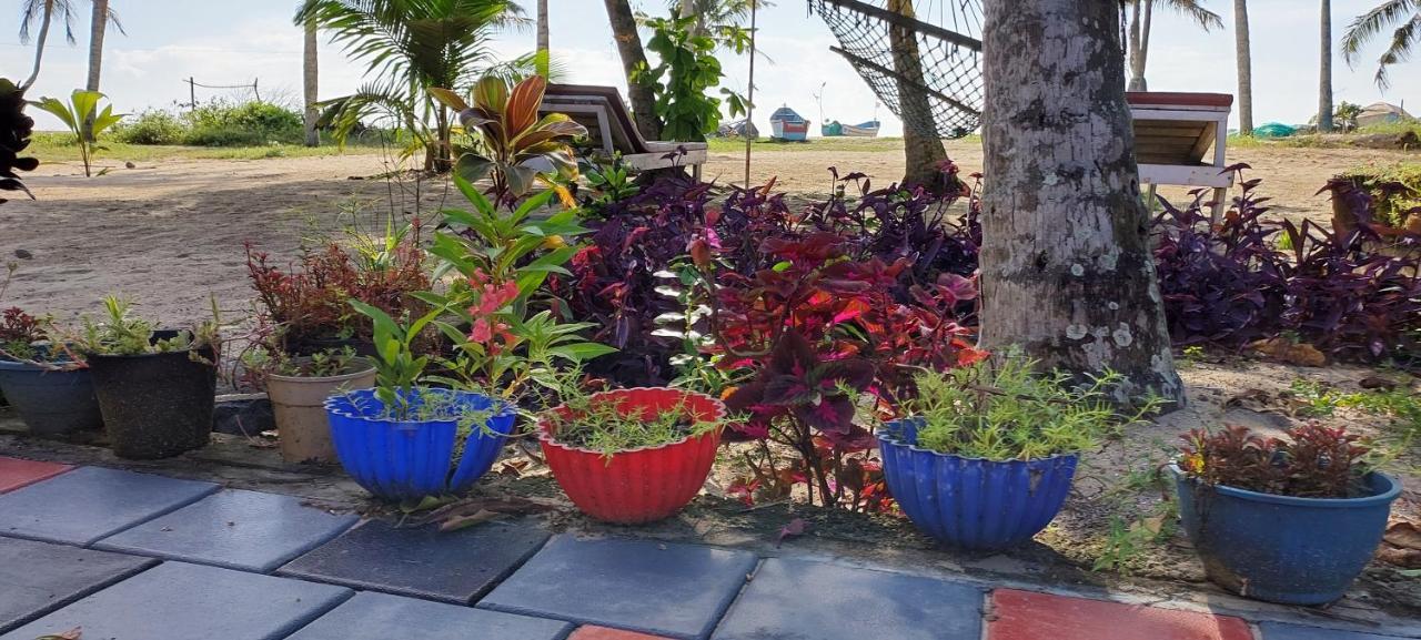 Marari Anna Beach Villa Mararikulam Zewnętrze zdjęcie