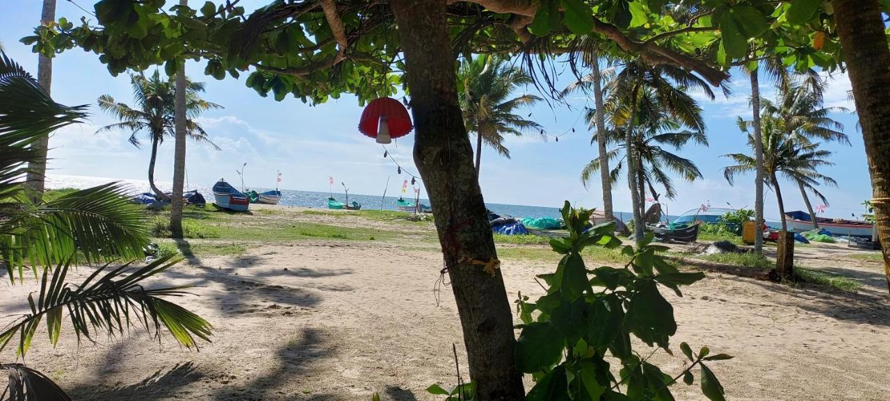 Marari Anna Beach Villa Mararikulam Zewnętrze zdjęcie