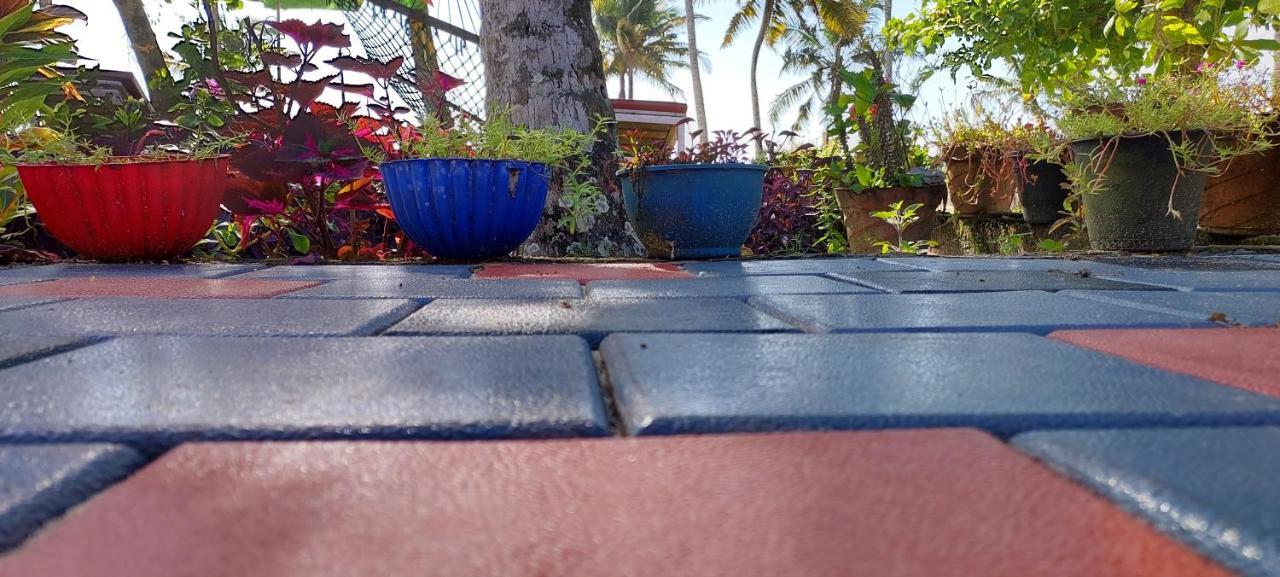 Marari Anna Beach Villa Mararikulam Zewnętrze zdjęcie
